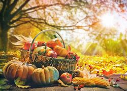 harvest festival